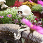 🔥BUY 2 GET 10% OFF💝Fishing Skeleton Garden Accessory💀
