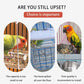 🔥BUY 2 GET 10% OFF💝Automatic No-Spill Transparent Bird Feeder