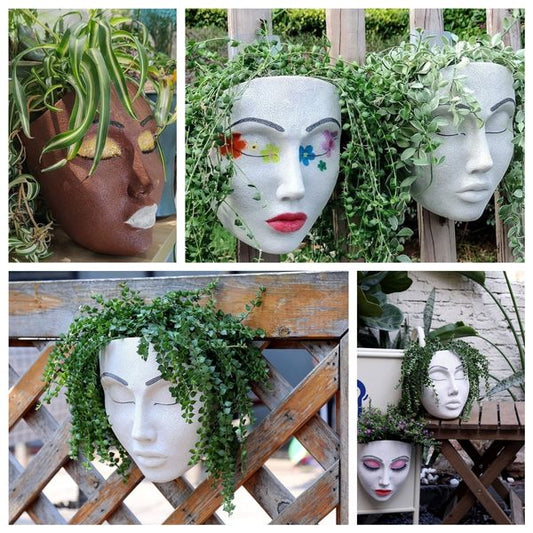 🔥BUY 2 GET 10% OFF💝Plant Faces