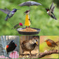 🔥BUY 2 GET 10% OFF💝Bird Feeders Tray For Outdoors Hanging