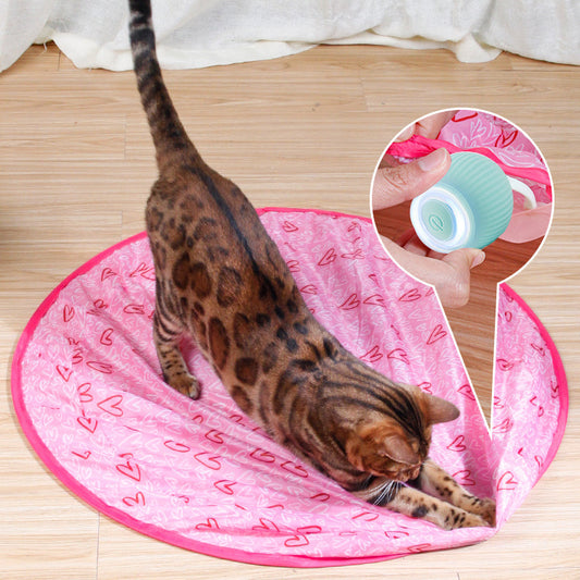🔥Hot Sale - 49% OFF🐱2 in 1 simulated interactive hunting toy for cats